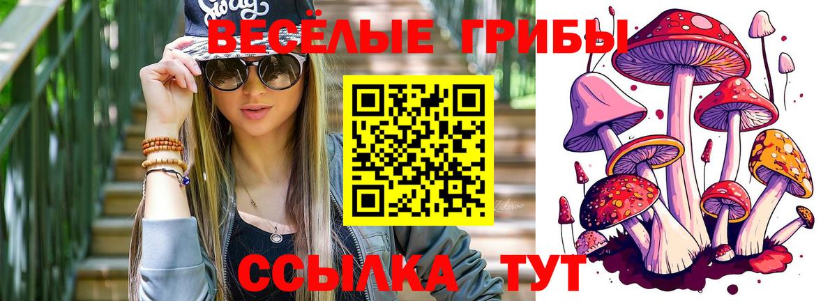 Псилоцибиновые грибы MAGIC MUSHROOMS  Вход с VPN  Тамбов 